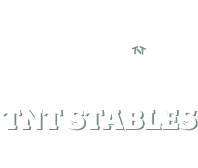 TNT Stables Logo